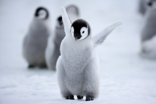 ©aussieanouk - stock.adobe.com ©aussieanouk - stock.adobe.com