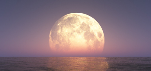 ©aleksander nakovski - stock.adobe.com