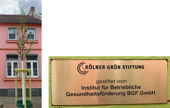  Das Vorschaubild ist mit der Detailansicht des Beitrags verlinkt.