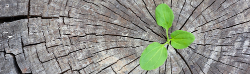 ©ruslan_khismatov - stock.adobe.com ©ruslan_khismatov - stock.adobe.com