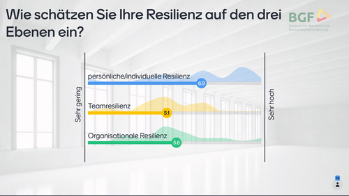 Ergebnisse Selbstcheck Resilienz