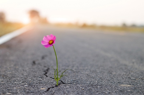 ©ruslan_khismatov - stock.adobe.com
