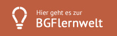 Logo: BGFlernwelt